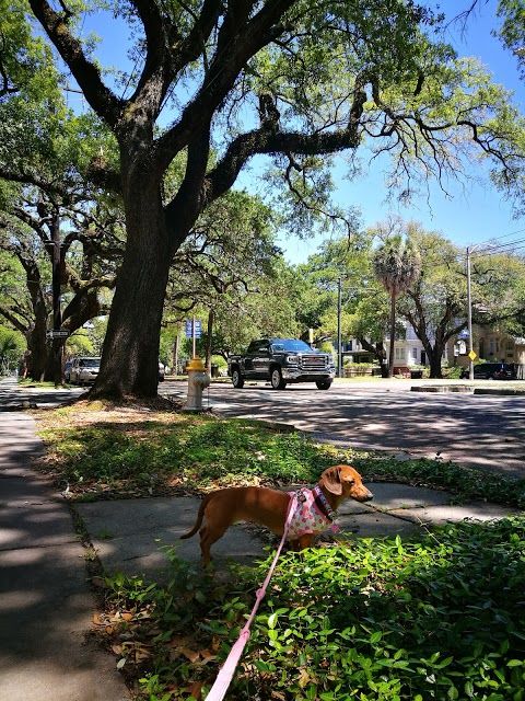 Palmer Park