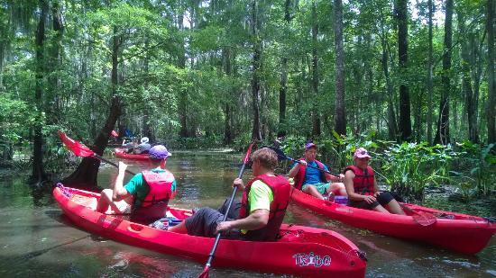Kayak Swamp Tours