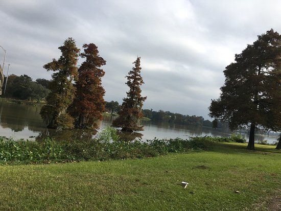 University Lake