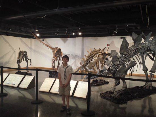 Lafayette Science Museum